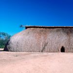 Uma aventura no Xingu
